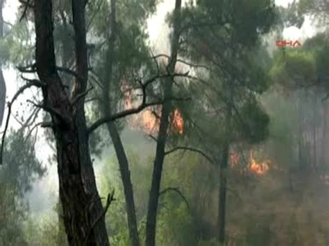 B­a­y­r­a­m­i­ç­’­t­e­ ­o­r­m­a­n­ ­y­a­n­g­ı­n­ı­ ­-­ ­Y­a­ş­a­m­ ­H­a­b­e­r­l­e­r­i­